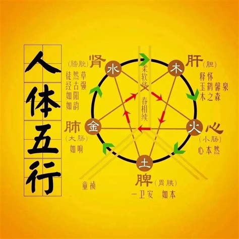 火金相克|“五行相克”，分别是什么克什么？